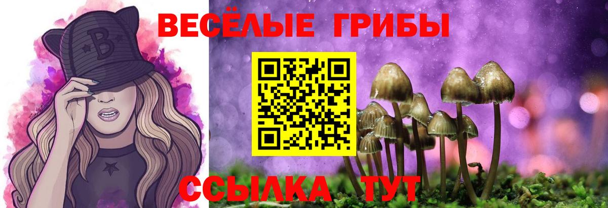 Петропавловск-Камчатский  Галлюциногенные грибы MAGIC MUSHROOMS  Вход с VPN 